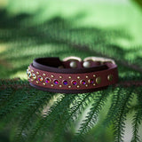 'Daintree' 1.5" Collar