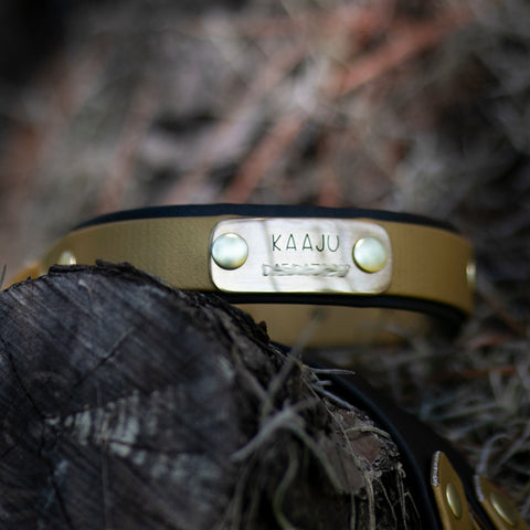 Custom name plate for dog collar in brass
