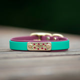 Custom Dog Collar with Crystal inlay name plate. Made in Australia out of biothane