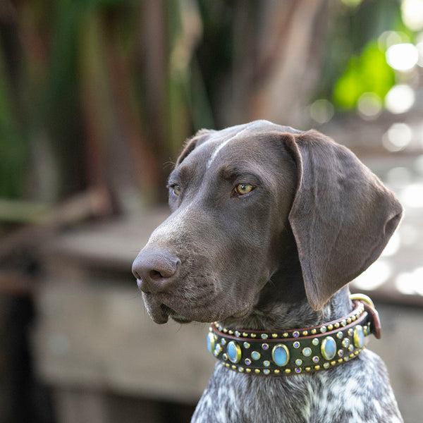 Australian Handmade Dog Collars and Leads