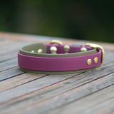 dual layer biothane dog collar with brass hardware, placed on a wooden table.