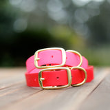 Beta Biothane collar with Brass Buckle
