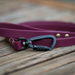 Locking Carabiner
