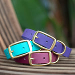 Biothane and brass dog collar