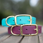 1.5" biothane dog collar australian made