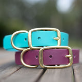 1.5" biothane dog collar australian made
