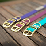 Brass Buckle Collar Biothane