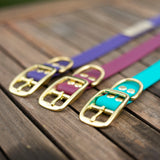 Brass Buckle Collar Biothane