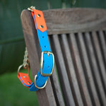 LOVEDALE Martingale Collar 1"