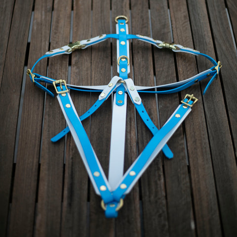 Beta Biothane made harness for dogs. Brass hardware