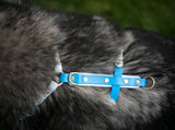 Tope view of a dog harness mae from beta biothane