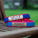 Dual Layer Biothane Dog Collar Australia. Top strap is attached to the bottom layer via chicago screws or rivets. 
