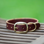 Classic Morgan Oak Redhide Collar