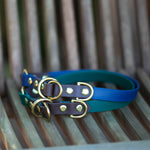 Two dog limited slip collars. Made from Biothane with brass hardware 