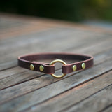 Leather tag collar for dog name tag. Made in Australia