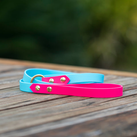 biothane slip leash solid brass hardware made in Australia