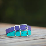 Biothane dog collar made in australia with silver hardware