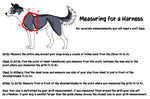 Chart describing how to measure for a dog harness